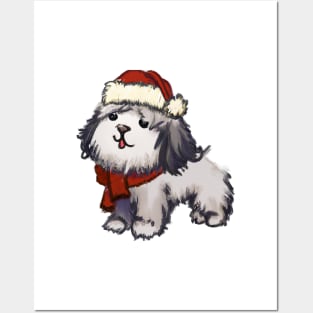 Cute Havanese Drawing Posters and Art